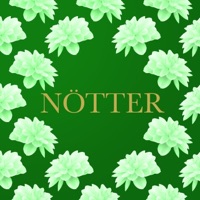 NÖTTER - Single - Sommarkatten