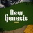 New Genesis