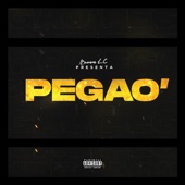 Pegao' artwork