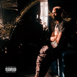 Lovers (feat. Diani) Darri Vinci