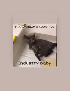 Miralvanizmを聴いたり、ミュージックビデオを鑑賞したり、経歴やツアー日程などを確認したりしましょう！