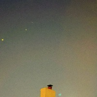 Mcflurry - Single - stupidbrain