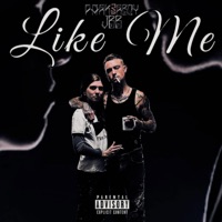 Like Me (feat. JBB) - Single - Park3rBoy