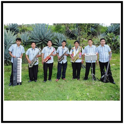 Chito Picarón (Huaylash Moderno) - Single