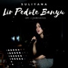 Lir Pedote Banyu - Single