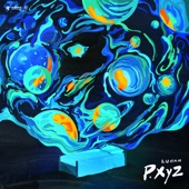 P.XyZ artwork