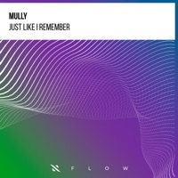 Just Like I Remember - Single - Mully