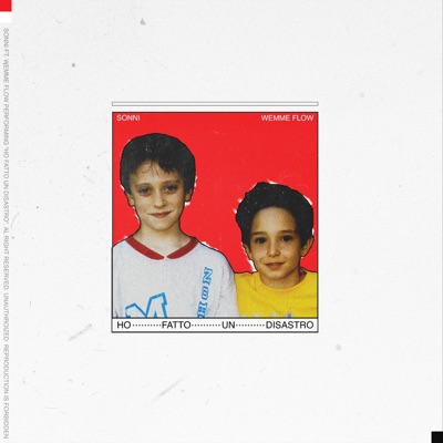 HO FATTO UN DISASTRO (feat. Wemme Flow) - Single