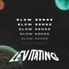Levitating (Remix) cover art