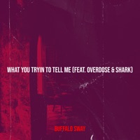 What You Tryin to Tell Me - Single (feat. GANG$TAMANIA & Shark) - Single - Buffalo Sway