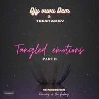 Tangled Emotions EP, Part B - Djy Vuvu Dem