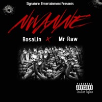 Nwanne (feat. Mr Raw) - Single - Bosalin