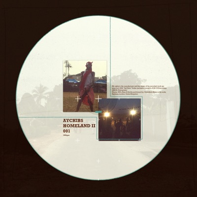 Homeland 2 - Single