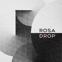 ROSA DROP (feat. BrassPits) - Single - MrFoxMad