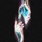 Drowning - Danny Quest lyrics