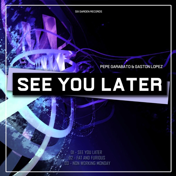 See You Later - Single
