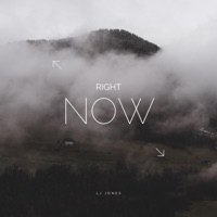 Right Now - Single - LJ Jones