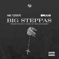 Big Steppas - Single - Mic Terror & BRUUS