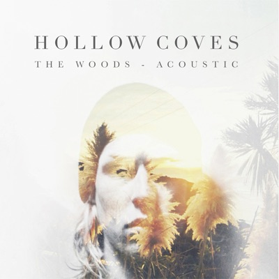 The Woods (Acoustic) - Hollow Coves