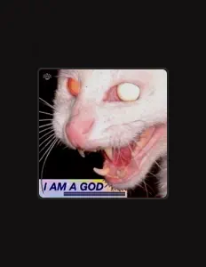 Listen to Silly Guy Sounds, watch music videos, read bio, see tour dates & more!