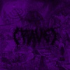 RAVE (Slowed) cover art