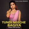 Tundi Neeche Bagiya - Single