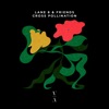Run cover art