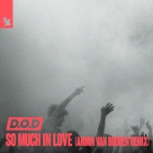 So Much in Love (Armin Van Buuren Remix) artwork