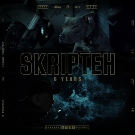 6 Years Skripteh