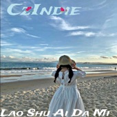 Lao Shu Ai Da Mi (Karaoke(Instrumental)) artwork