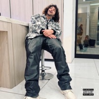 Ride or die (feat. Timeline333) - Single - 4Feddi