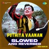 Puthiya Vaanam (Slowed and Reverbed) - Single