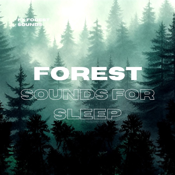 Forest Sounds for Sleep