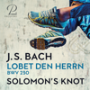 Lobet den Herrn, alle Heiden BWV 230 - Solomon's Knot