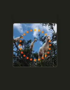 Dengarkan Foramacchia, tonton video musik, baca bio, lihat tanggal tur & lainnya!