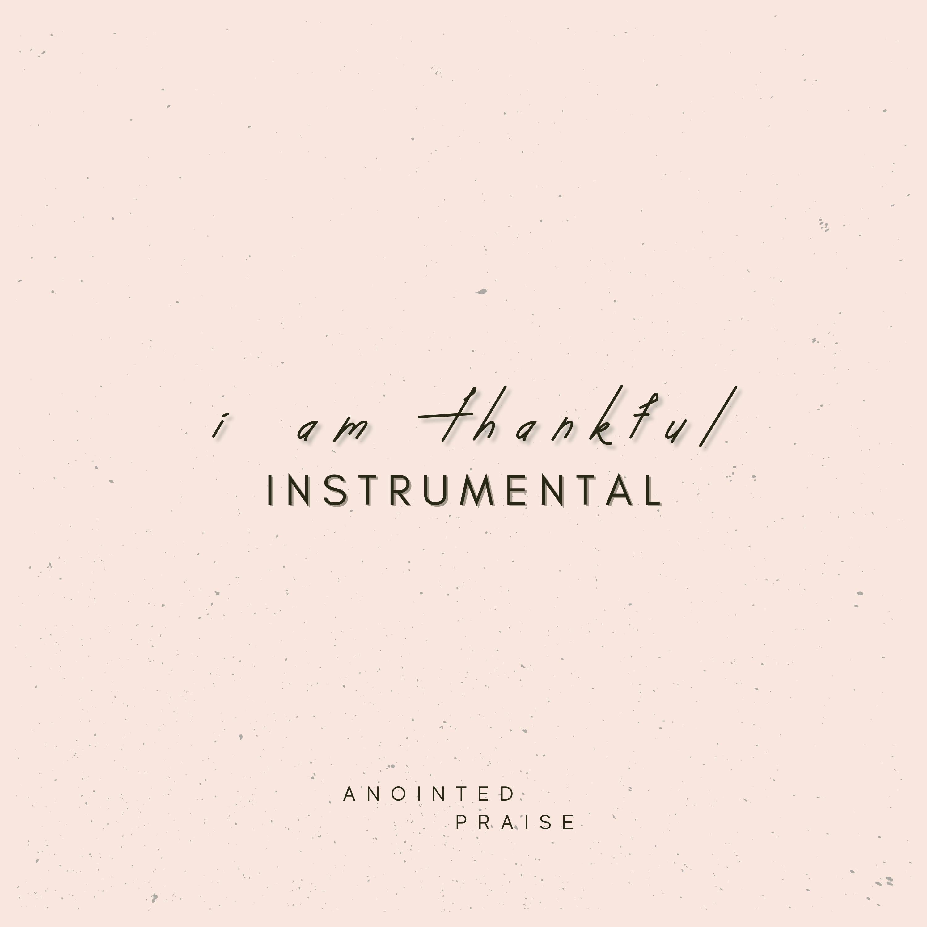 I Am Thankful (Instrumental) - Single