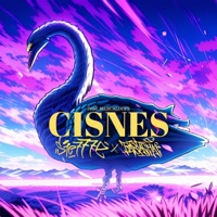 Cisnes - Single - Sie777e & Rastachai