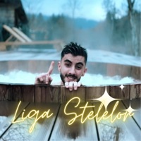 Liga Stelelor - Single - Omar Arnaout