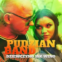 Dziewczyno Jak Wino - Single - Pudzian Band