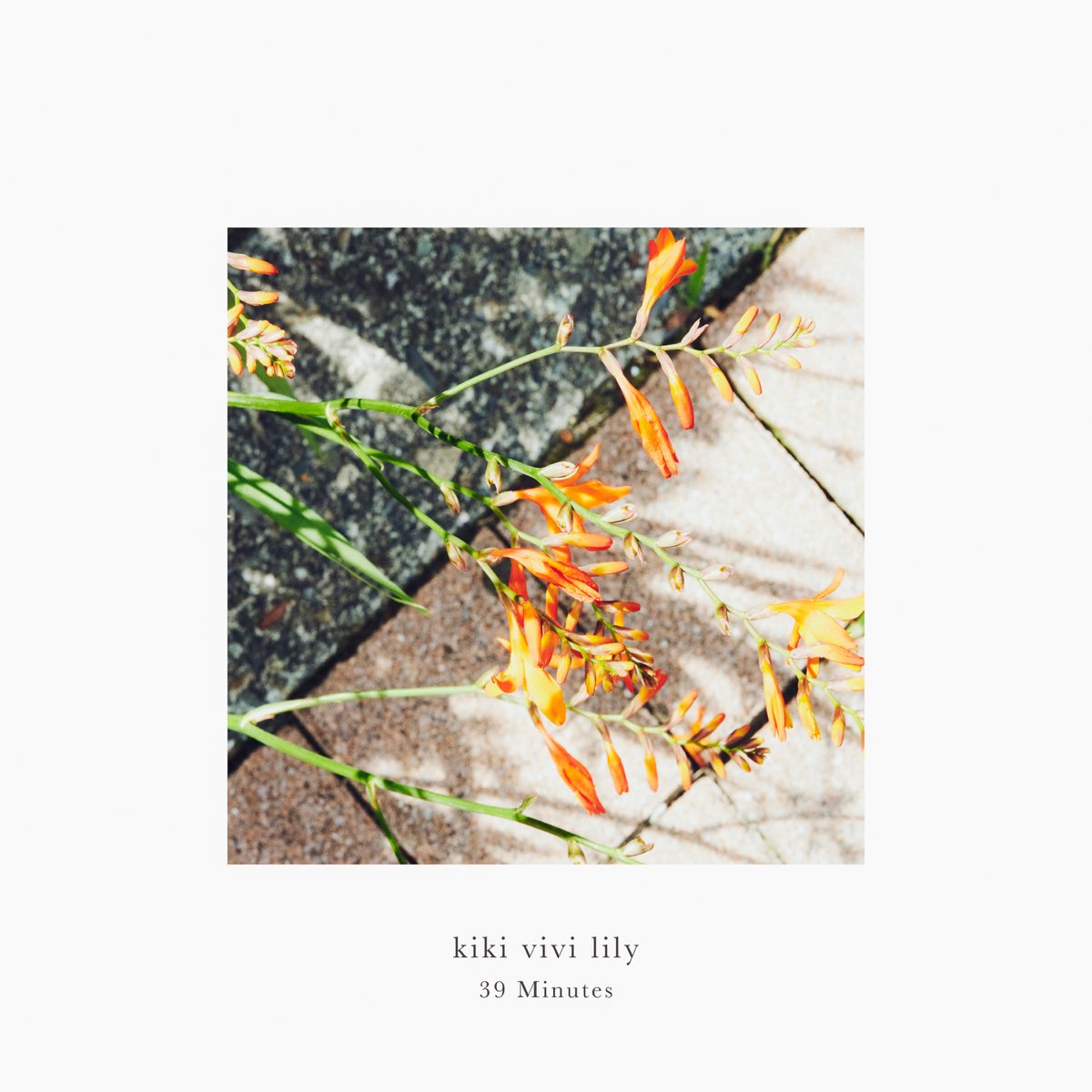 39 Minutes - Single - kiki vivi lilyのアルバム - Apple Music