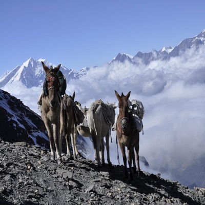 Ja Baina Karnali Deuda Song - Single