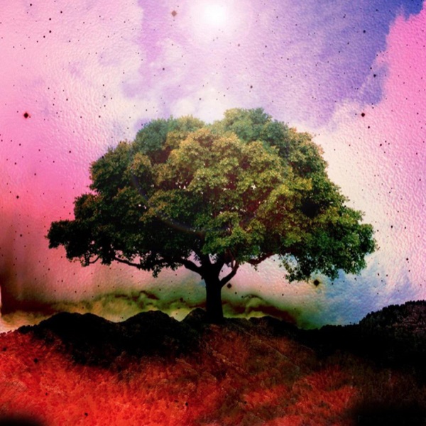 Tree of Life