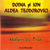 Maluri de Prut - Doina si Ion Aldea Teodorovici