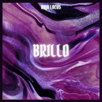 Brillo (feat. Chinnesse Beats) - Single - Baja Locos