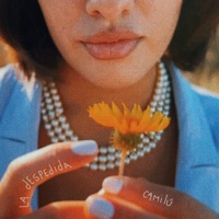 La Despedida - Single - Camilú