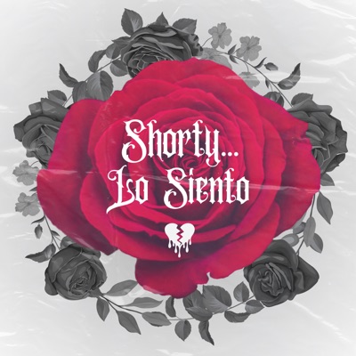 Shorty... Lo Siento - Single