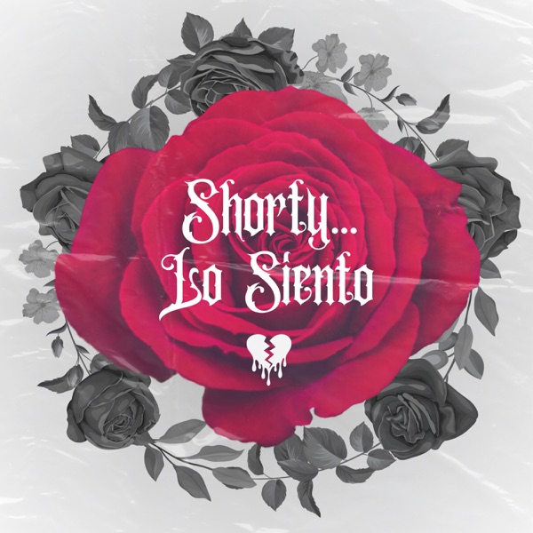 Shorty... Lo Siento - Single