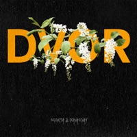 DVOR - Single - ZAVARIVAY & NEEKITV