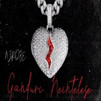 Ganduri Neintelese - Single - NZRobe
