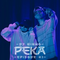Episode 1 (feat. Peka) - Single - Dj Ninho